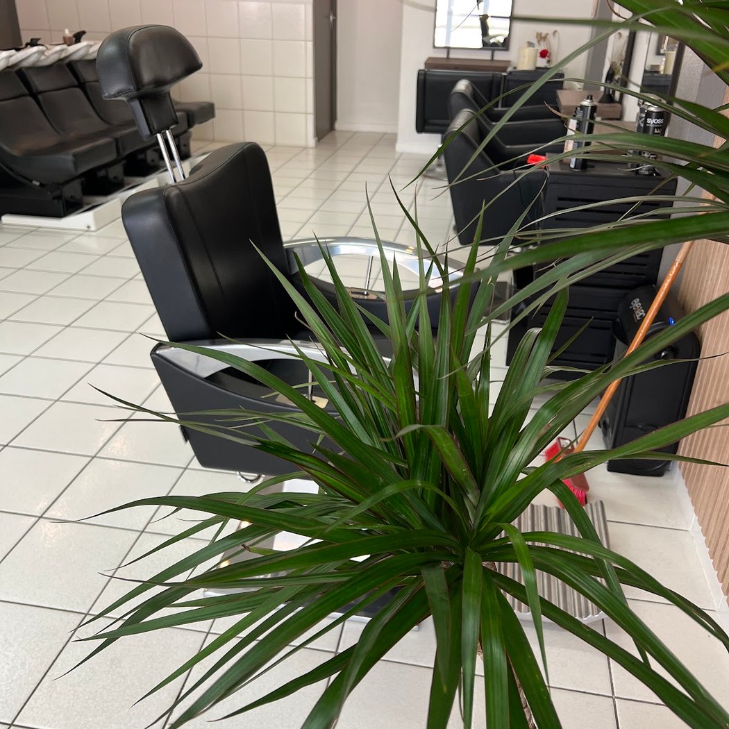 coiffeur mixte 2